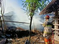 Kandang Ternak Kebonagung Imogiri Terbakar Habis, Pemicunya Diduga Sisa Pembakaran Pakan Ternak