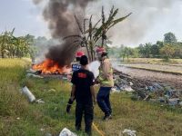 Aktifitas Pembakaran Sampah Mengakibatkan Kebakaran Lahan Di Piyungan Bantul