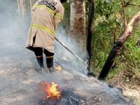 Sejumlah Tumpukan Ban Terbakar Akibat Dari Kelalaian