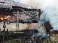 Damkarmat Bantul Melakukan Pemadaman Gudang Minyak Kayu Putih Milik Perhutani