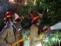 Respon Cepat Damkarmat Kabupaten Bantul Pada Kebakaran Lahan di Imogiri Bantul